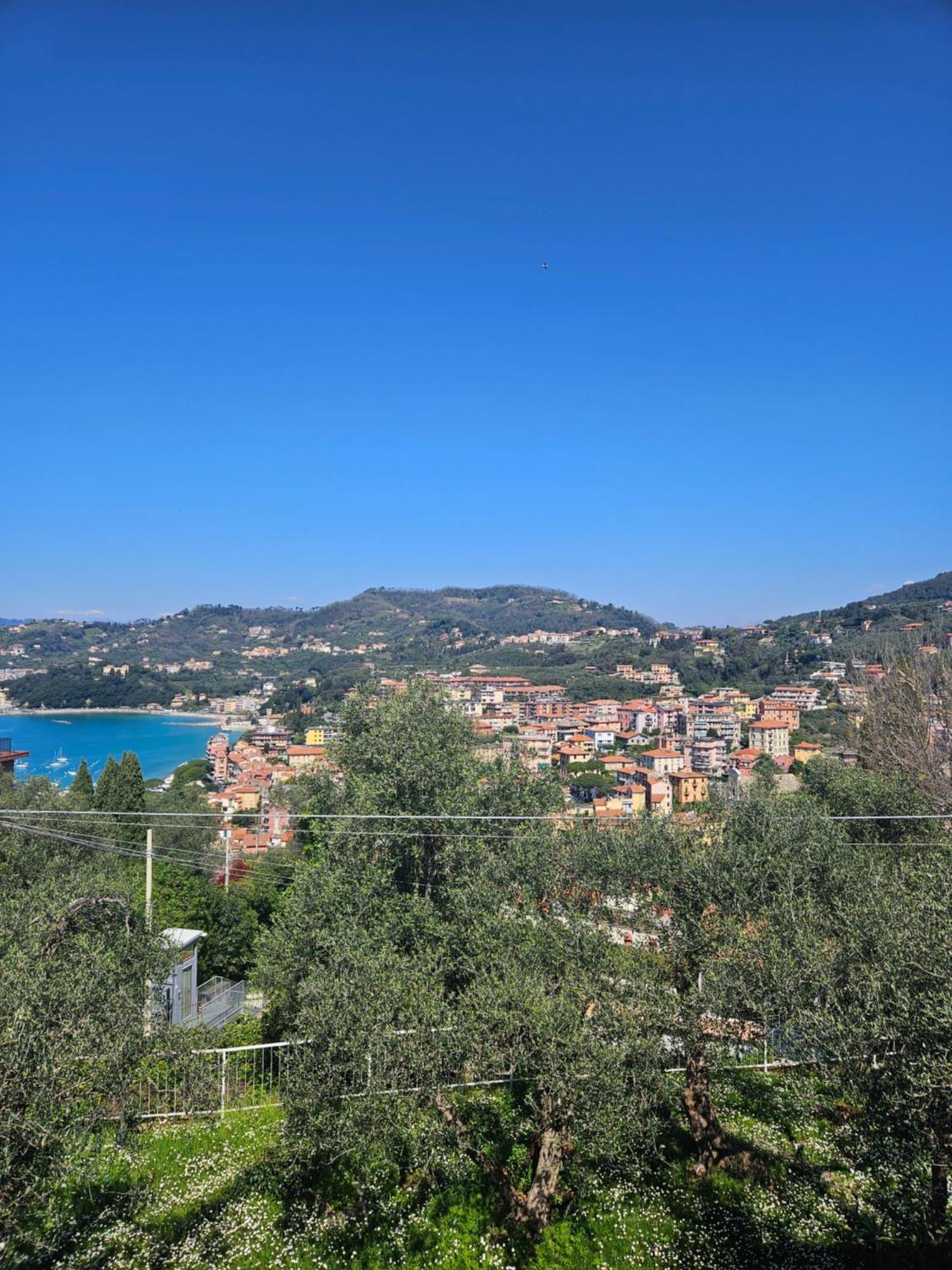 Villa Degli Ulivi - Free Parking เลริชี ภายนอก รูปภาพ
